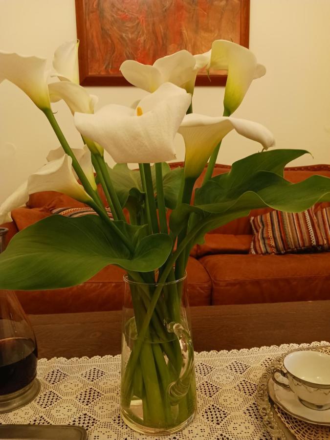 하니아 Casa Di Nonna 아파트 외부 사진
